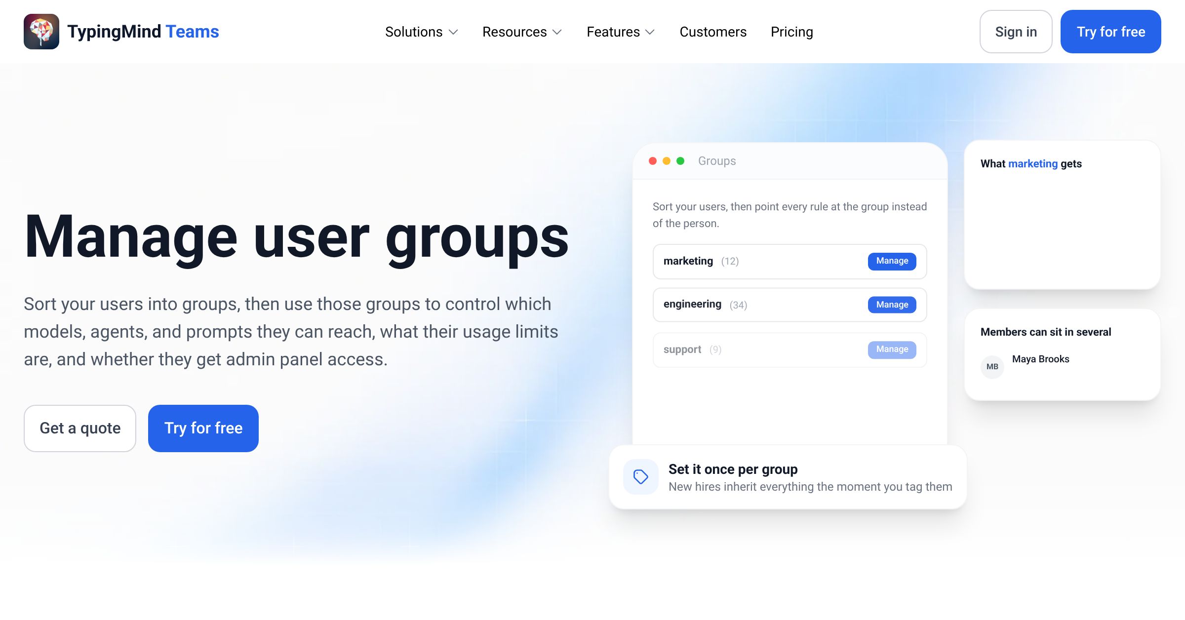 TypingMind Teams - Set Tags For Members