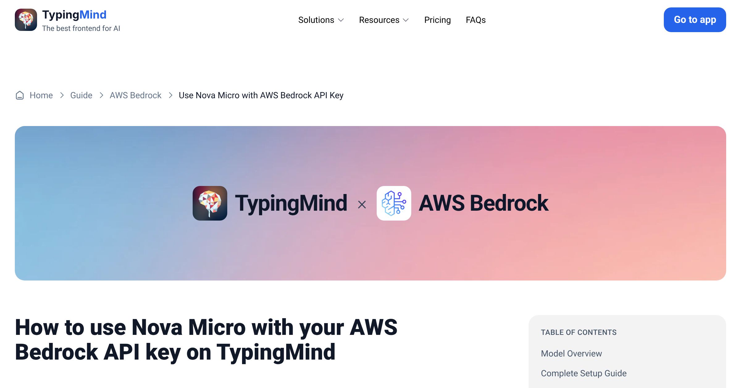 Use Nova Micro AWS Bedrock with your own API key on TypingMind | TypingMind
