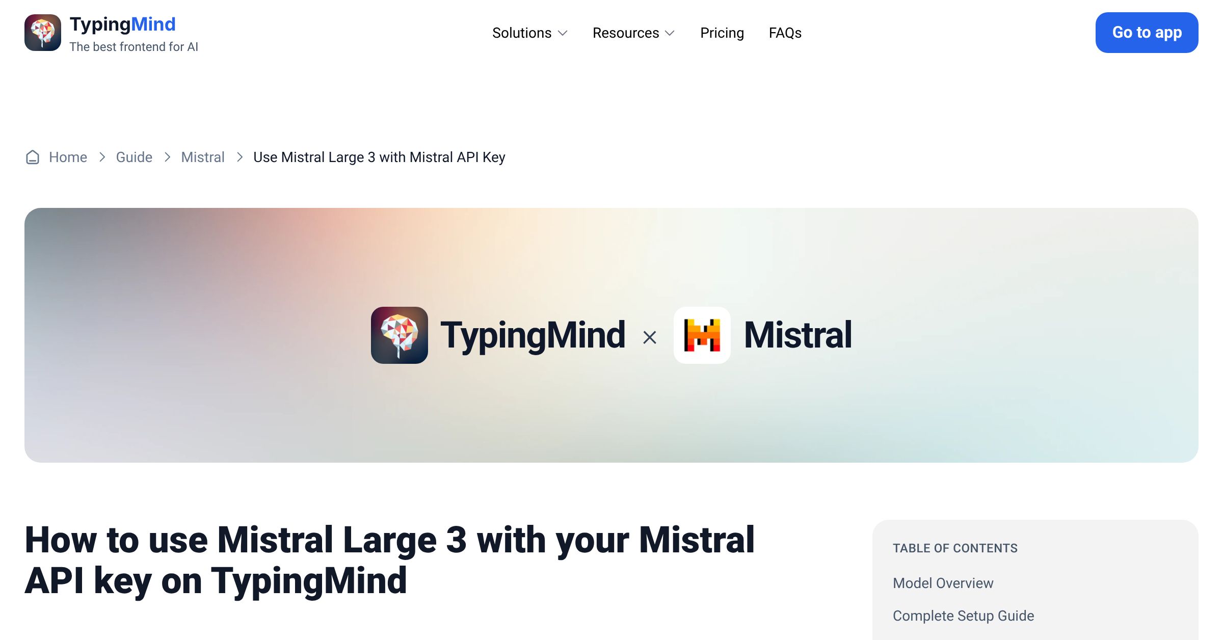 Connect and use Mistral Large 3 from Mistral with API Key | TypingMind