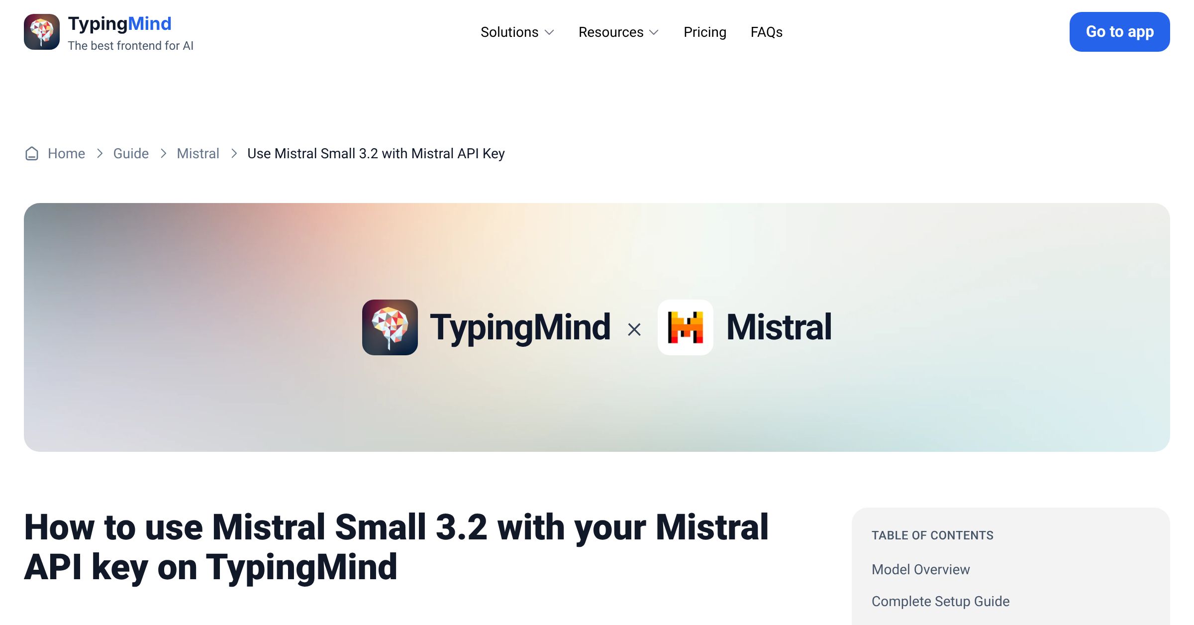 Connect and use Mistral Small 3.2 from Mistral with API Key | TypingMind