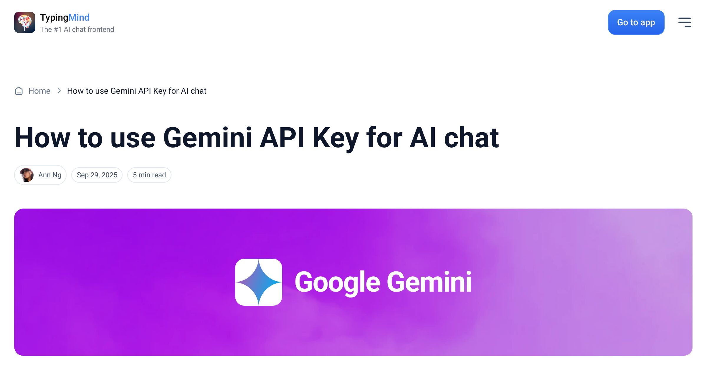 Cover image for Use Gemini API Key for AI chat