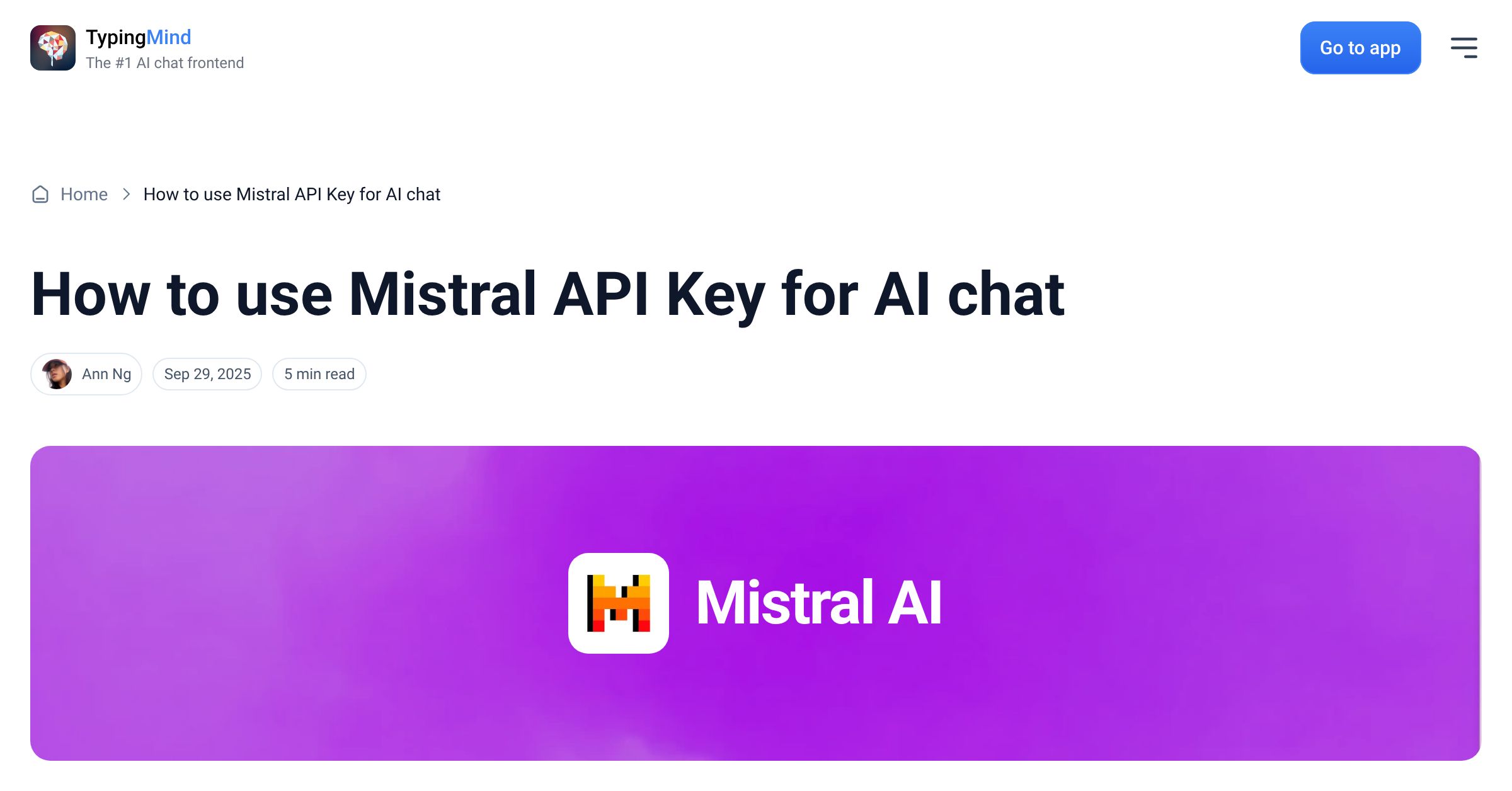 Cover image for Use Mistral API Key for AI chat
